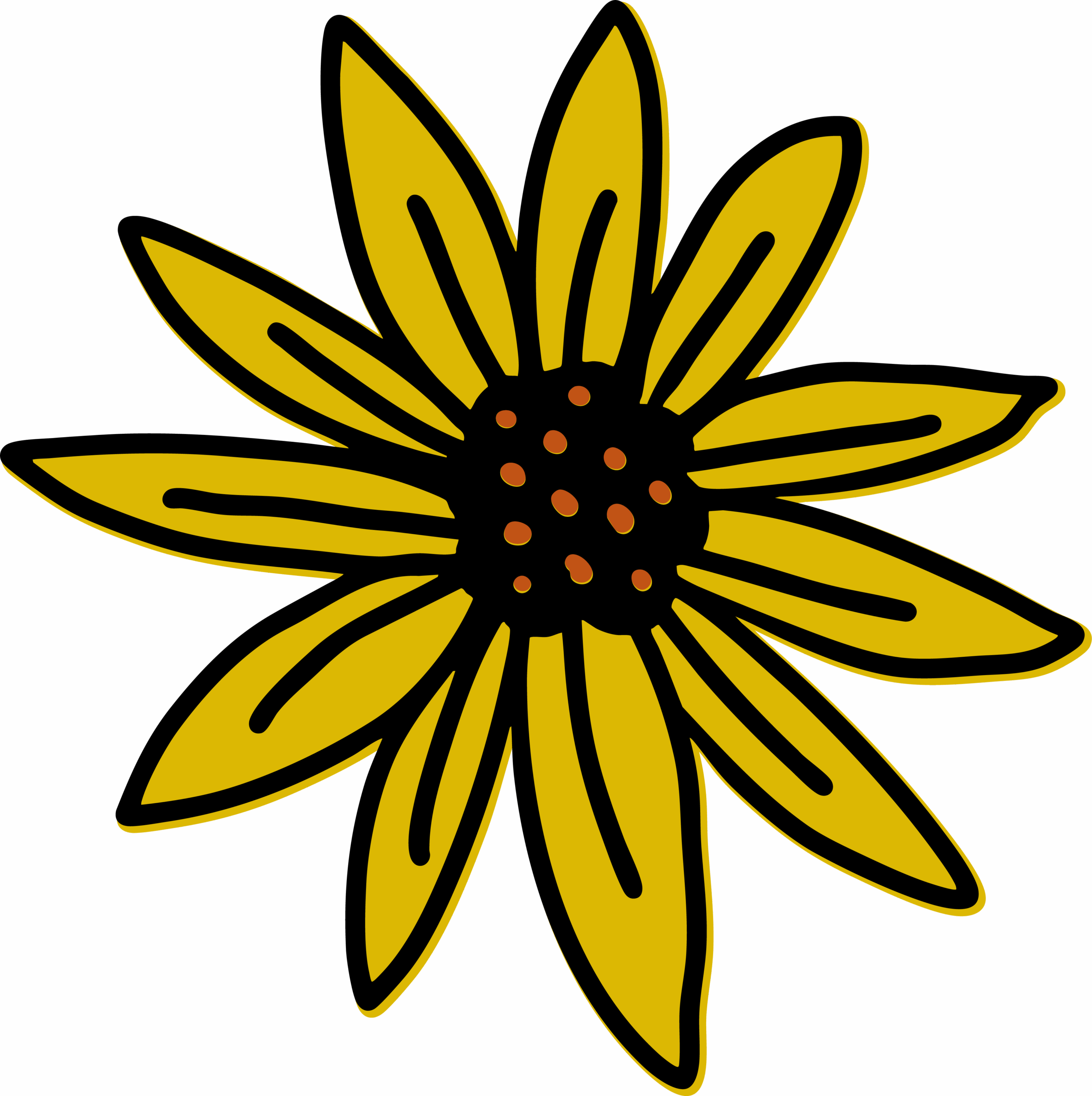 sonnenblume